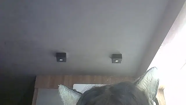 Skinny-Kitten online show from May 12, 11:51 am