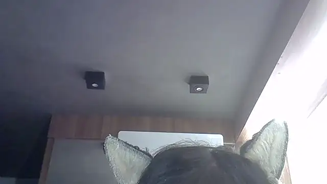 Skinny-Kitten online show from May 22, 3:06 pm