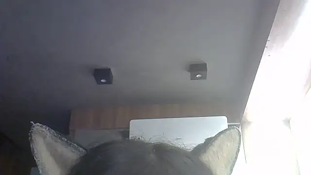 Skinny-Kitten online show from May 27, 4:37 pm