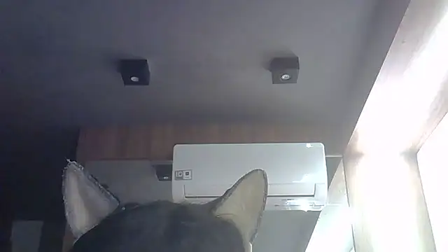 Skinny-Kitten online show from May 28, 4:59 pm
