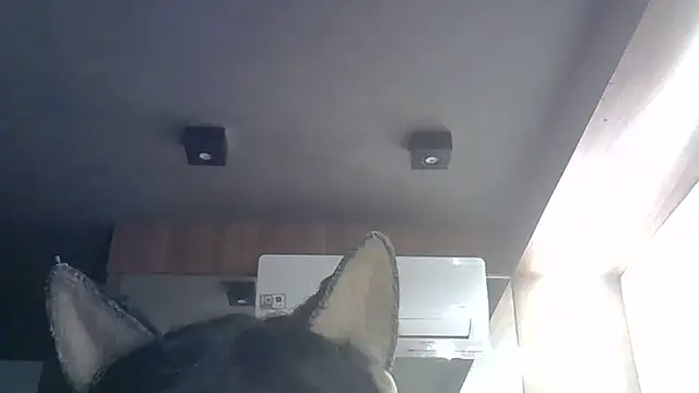 Skinny-Kitten online show from May 29, 9:29 am