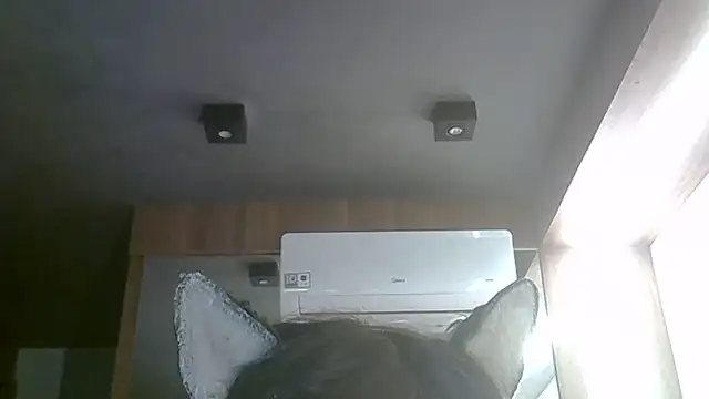 Skinny-Kitten online show from June 1, 3:47 pm