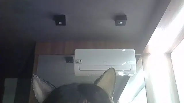 Skinny-Kitten online show from June 2, 3:52 am