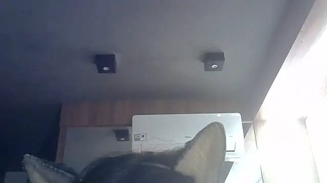 Skinny-Kitten online show from June 9, 9:32 am