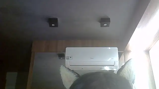 Skinny-Kitten online show from June 15, 8:38 am