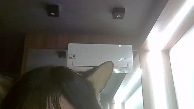Skinny-Kitten online show from June 24, 1:37 am