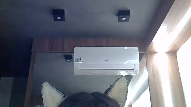 Skinny-Kitten online show from June 26, 11:36 am