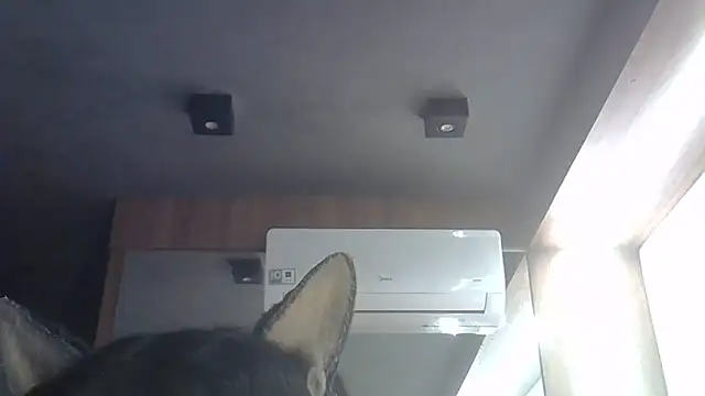 Skinny-Kitten online show from June 28, 1:33 am