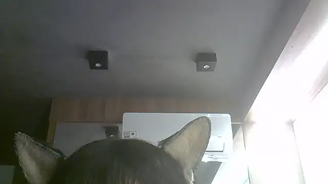 Skinny-Kitten online show from July 9, 9:35 am
