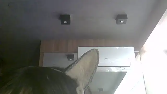 Skinny-Kitten online show from July 11, 11:35 am