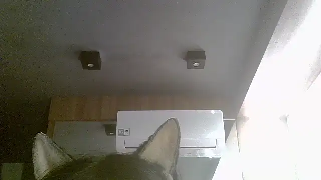 Skinny-Kitten online show from July 19, 7:12 am