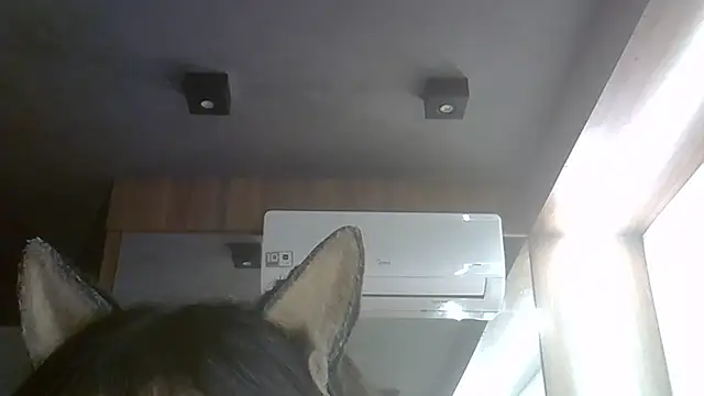 Skinny-Kitten online show from July 28, 5:25 am
