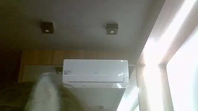 Skinny-Kitten online show from July 31, 4:39 pm