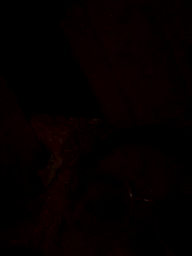 nalalye cruzz  online show from September 29, 2:27 am