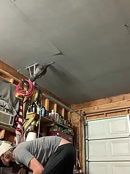 Midwestalpha online show from March 15, 7:36 am