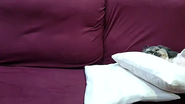 Kellynha Sweet online show from December 18, 2:06 am