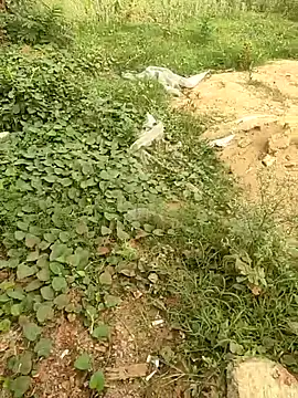 Snapshot of COUPLLE_VILLAGE chatting on May 19, 1:44 am COUPLLE VILLAGE online show from May 19, 1:44 am