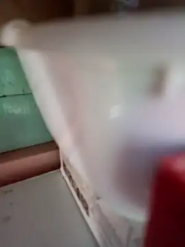 Snapshot of Rayito6969@xh chatting on February 5, 3:38 pm Rayito6969xh online show from February 5, 3:38 pm