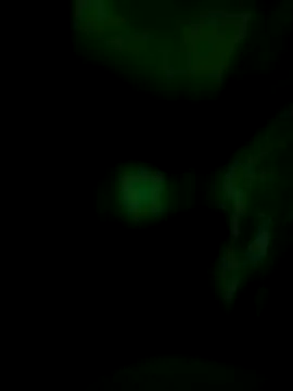 Vuyokaki online show from November 30, 2:37 am