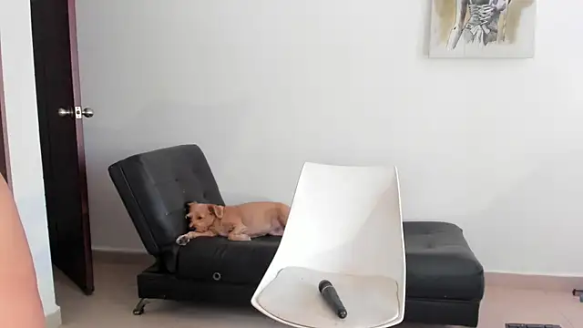 selene king2 online show from December 10, 6:17 pm