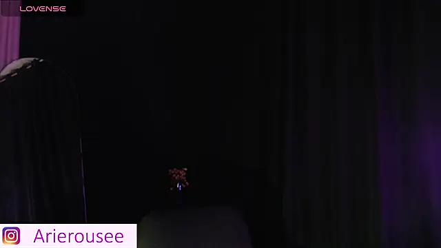 Snapshot of arie_rousee_sub chatting on September 16, 1:06 am arie rousee sub online show from September 16, 1:06 am