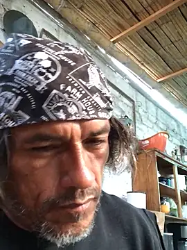 kvr27 online show from November 15, 11:18 am