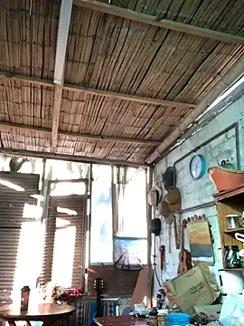 kvr27 online show from November 30, 11:58 am