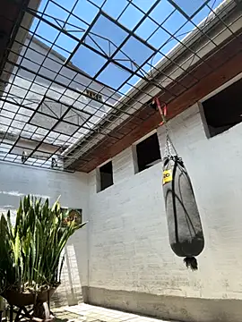 oliver price1 online show from September 9, 4:06 pm