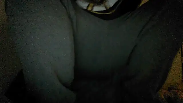 Snapshot of GeilerBull chatting on November 12, 2:01 am GeilerBull online show from November 12, 2:01 am