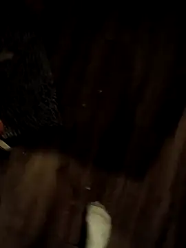 Snapshot of Donglong80 chatting on November 17, 11:16 am Donglong80 online show from November 17, 11:16 am